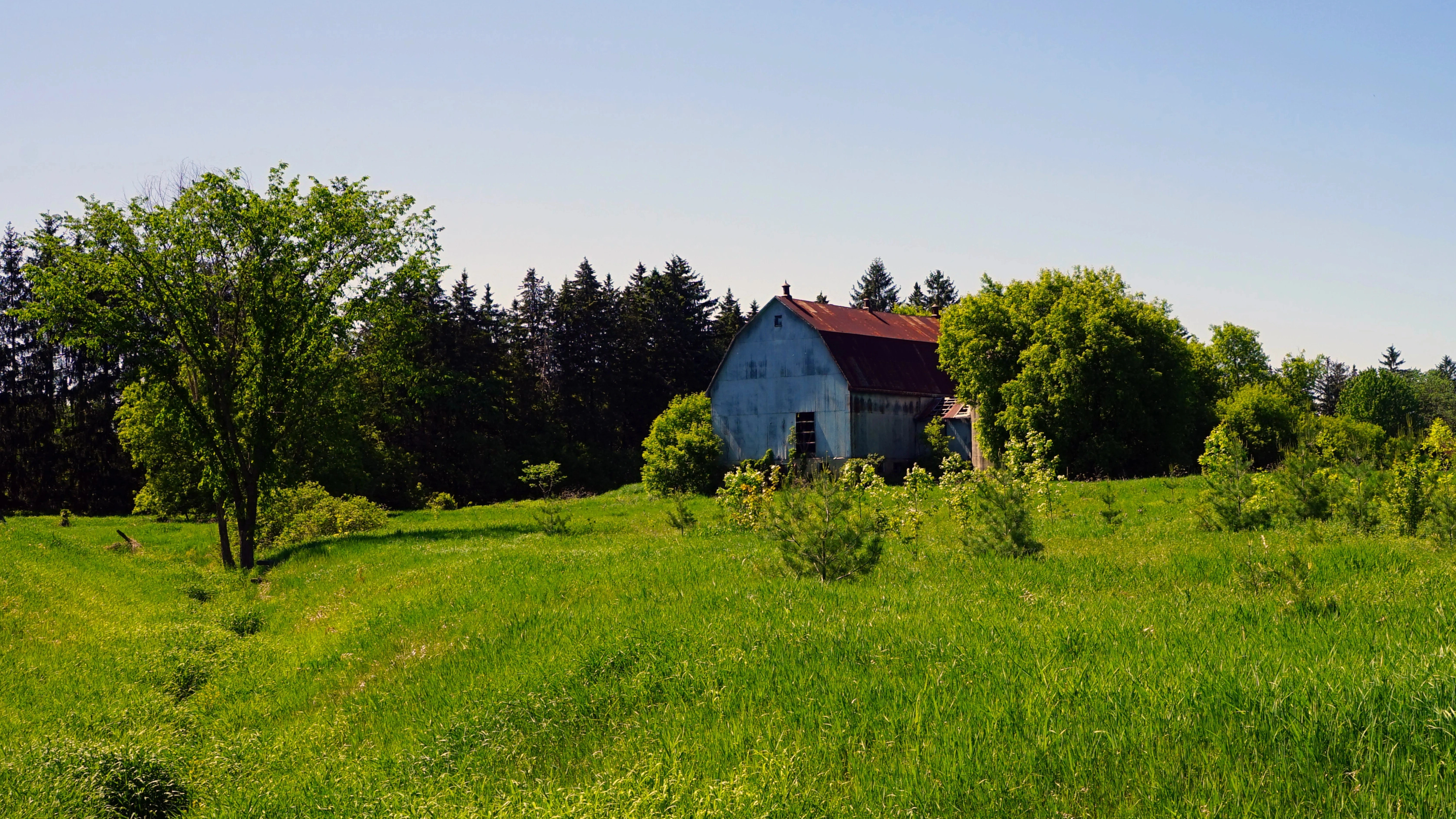 Old barn with a rusty roof in a lush landscape near Cumberland, Ontario