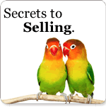 TheRealEstateAgents.ca - The secret to selling your home.